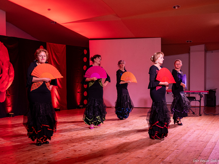 ŠRD Mislinja - sekcija Flamenko