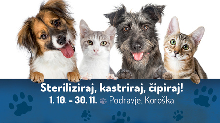 Akcija