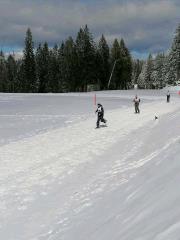 FB_IMG_15836057551032619