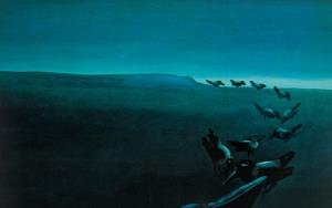 birds_artwork_joze_tisnikar_14_1680x1050_animalhi.com