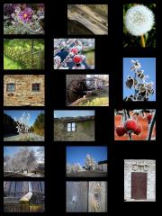 PREDSTAVITEV_DEC_15_2