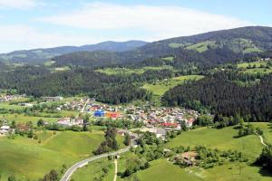 Mislinja.