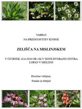 Vabilo