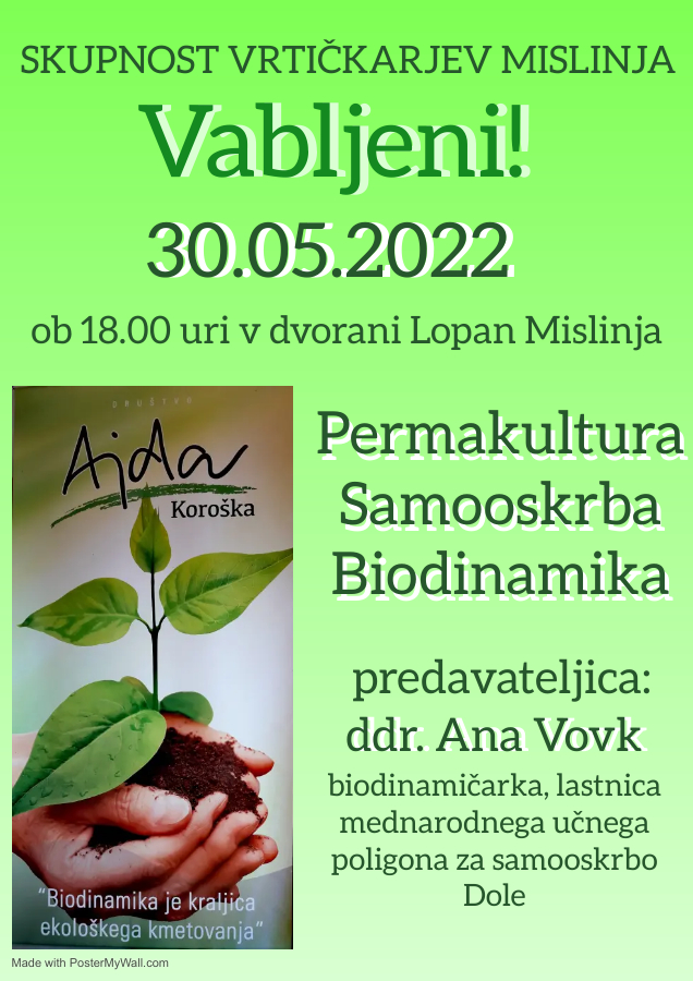 VabiloPredavanje30052022AnaVovk.jpg